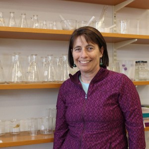 Faculty Profile
