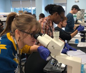 SMCC Students conduct scientific research at MDIBL