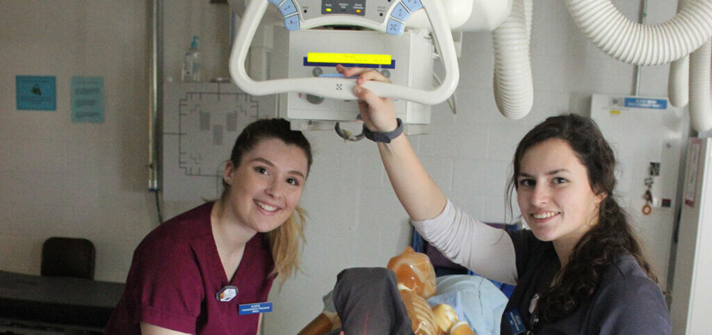 radiography-students-with-healthcare-equipment