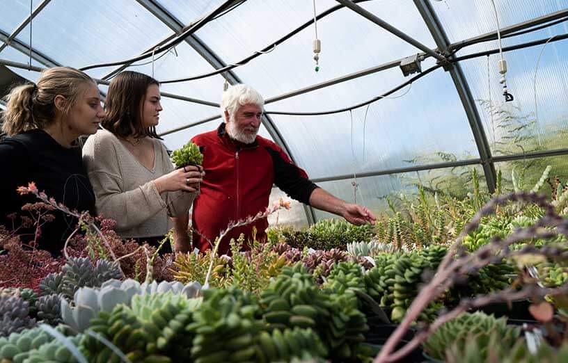 SMCC-horticulture-greenhouse