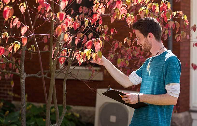 science-student-outside-inspecting-tree-leaves-SMCC-Maine