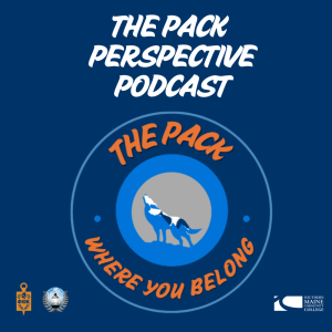Pack Perspective logo2 ikedtb 300x300