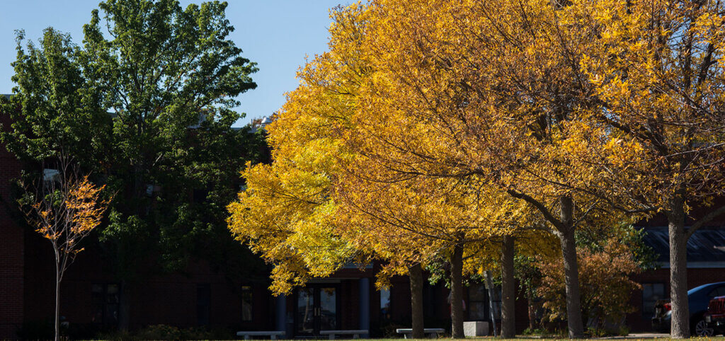 Banner Free College4 1366x643 11 25