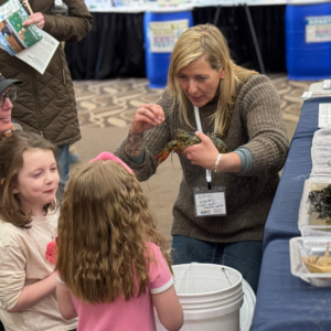 Untitled design (43)