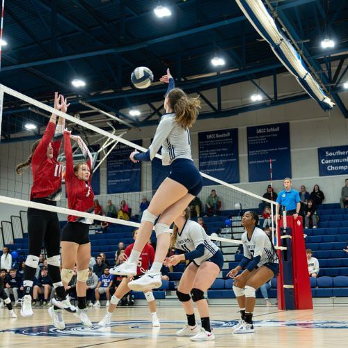 volley ffhw 500x500